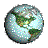gif plante